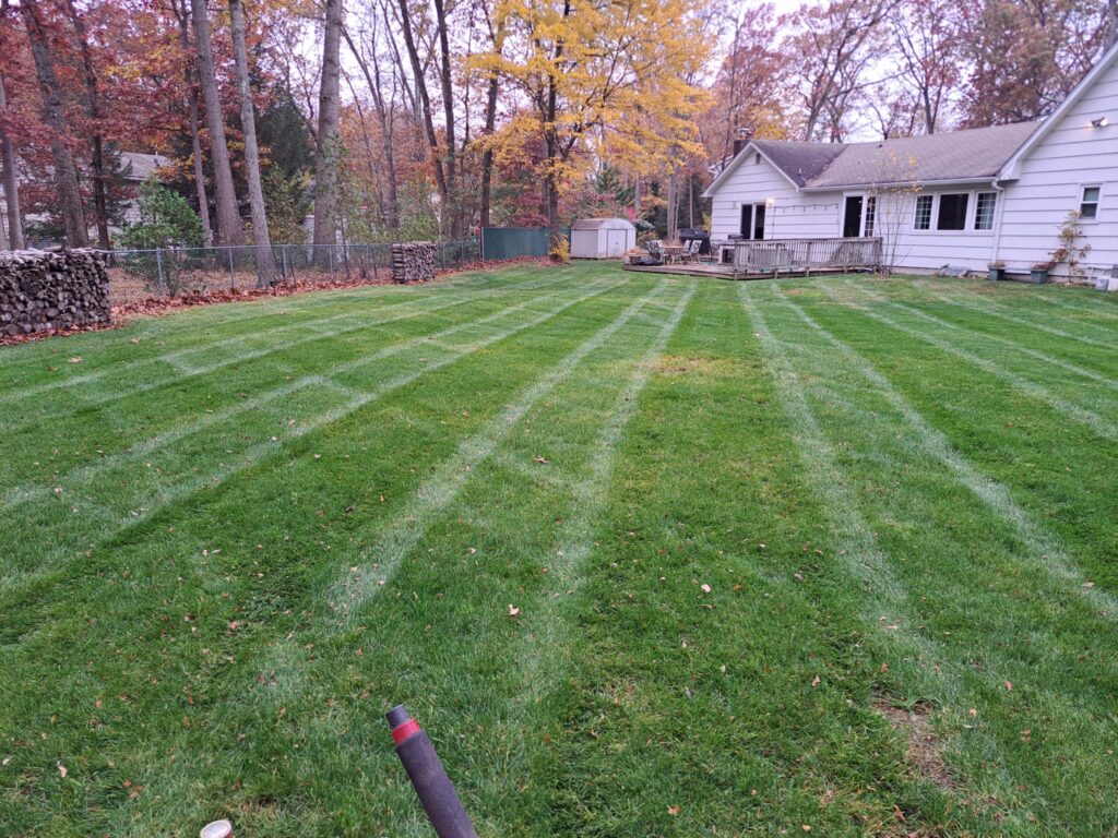 Landscaping Services in South Amboy, NJ