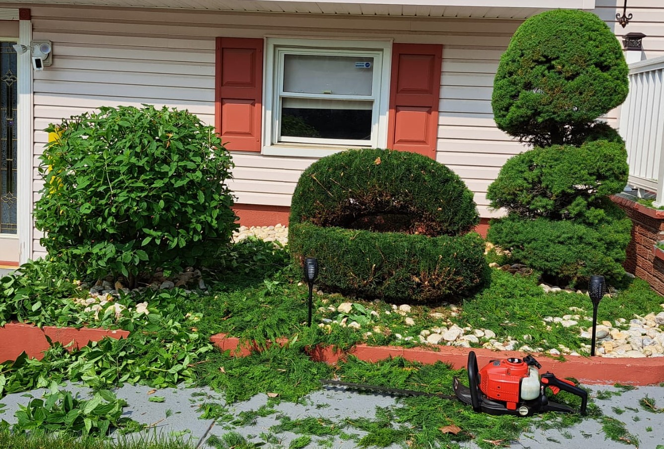 Landscaping Services in Monroe, NJ