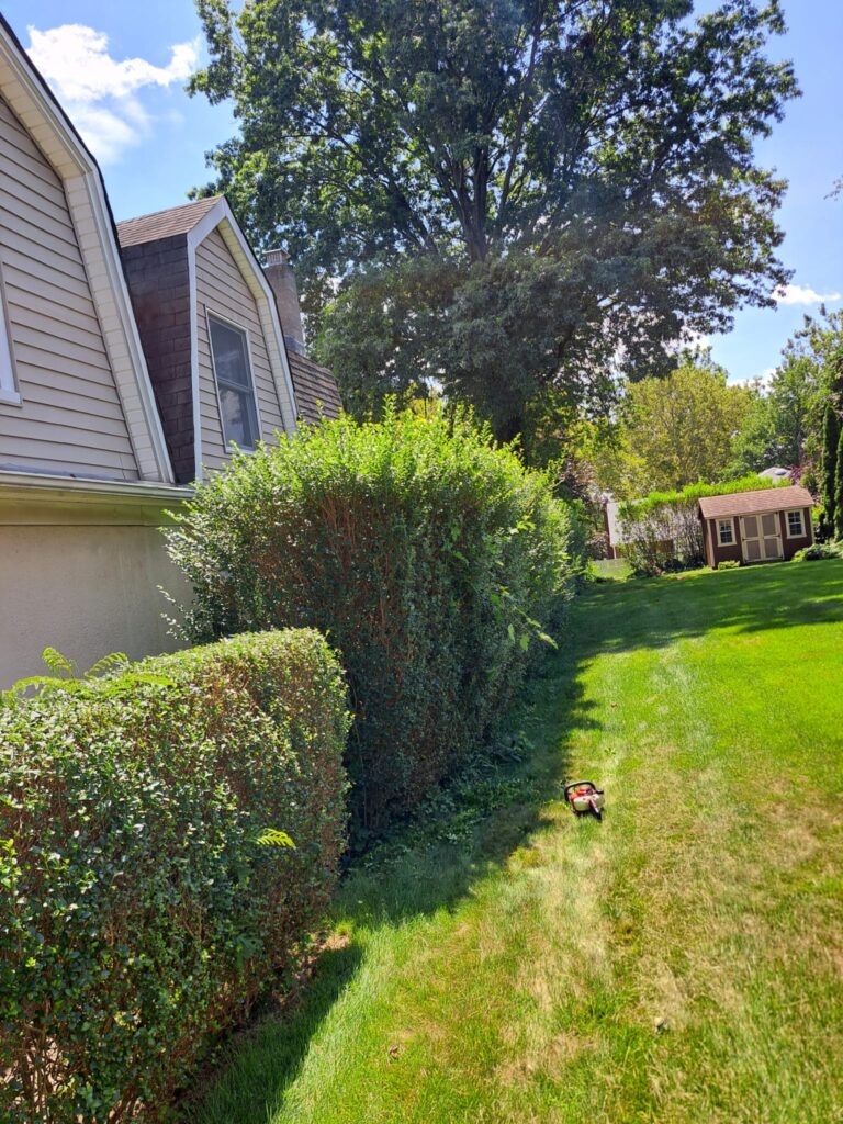 Landscaping Services in East Brunswick, NJ