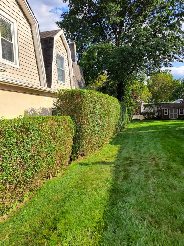 Landscaping Services in East Brunswick, NJ