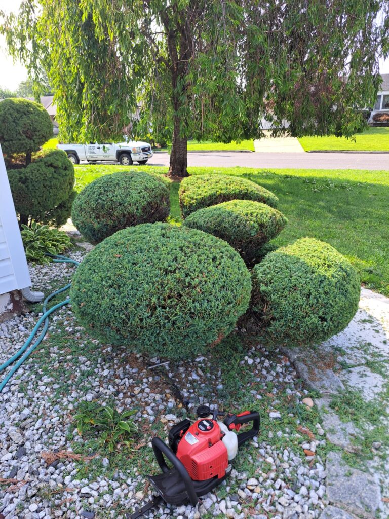 Landscaping Services in East Brunswick, NJ