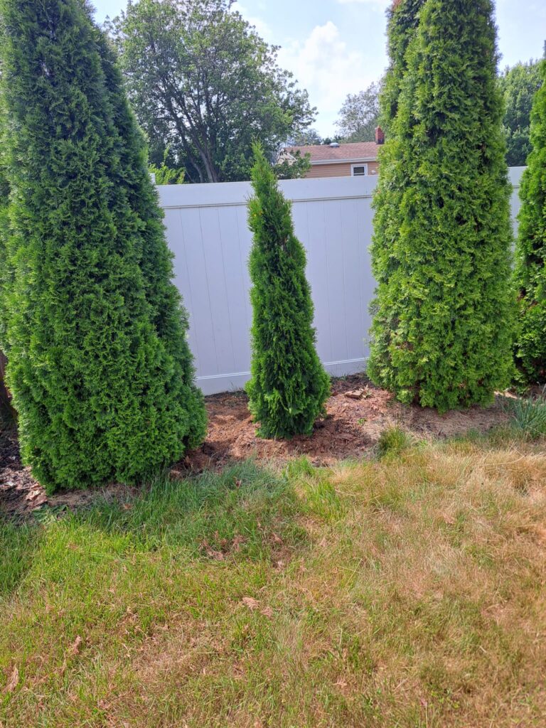 Landscaping Services in Sayreville , NJ